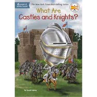 What are Castles and Knights ?