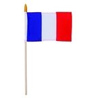 Drapeau Français Petit Format